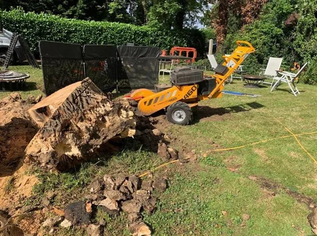 stump removal with roots