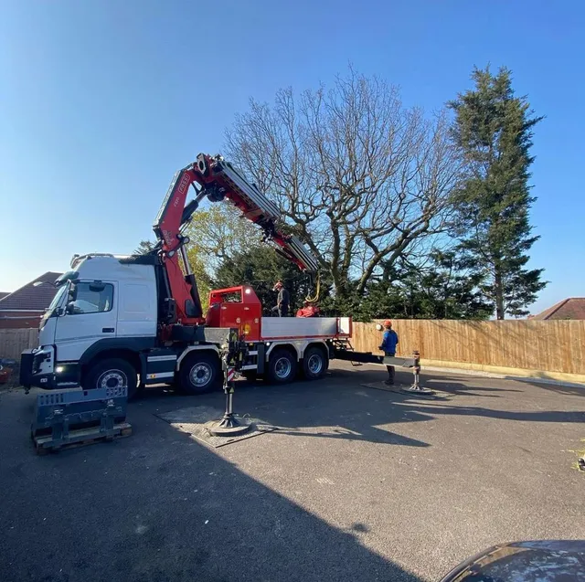 tree removal with cherry picker, to show the cost of a tree surgeon